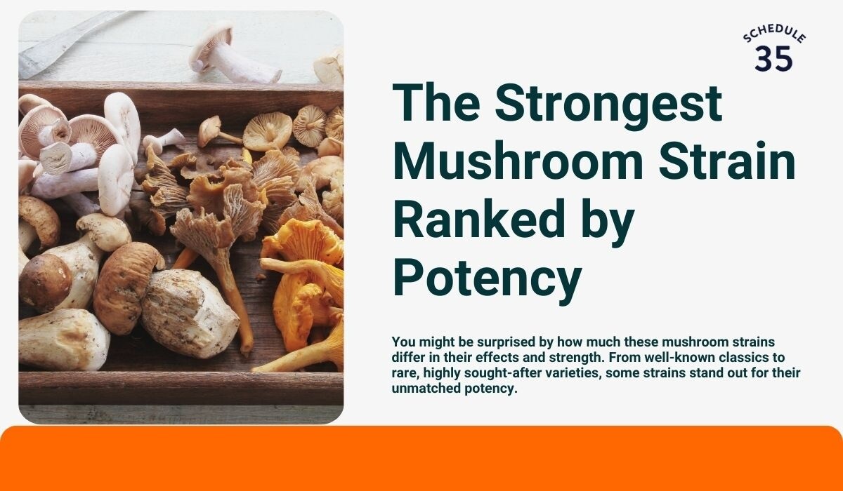 The20Strongest20Mushroom20Strain20Ranked20by20Potency